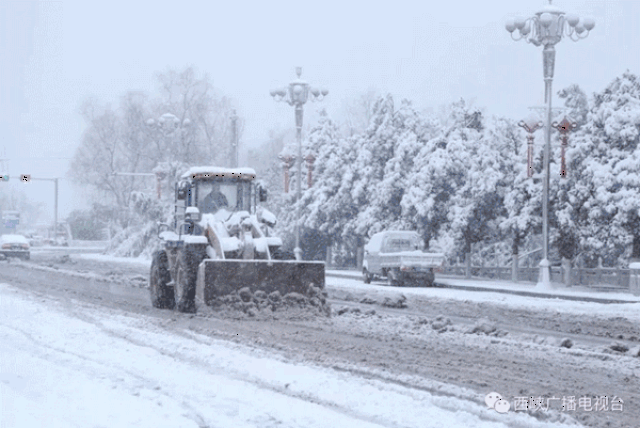 终于不用再用路灯下才能拍清楚的雪花, 和别人尬雪了!