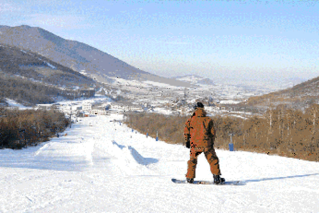 640_426 gif 动态图 动图