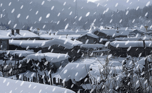 今天柘城已经开始飘起了雪花 有没有被骤降的气温吓到?