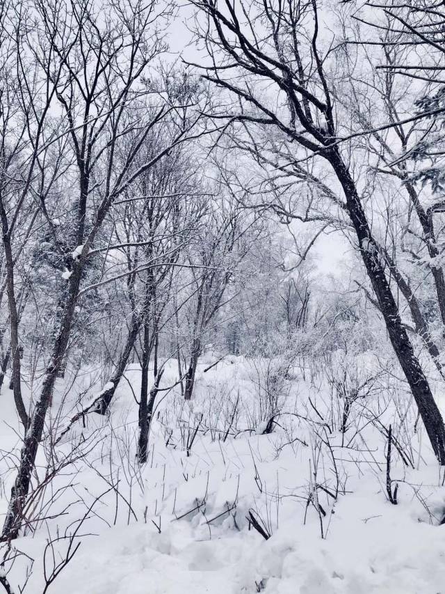 河南开封雪景 河南大学南门门口雪景 2018年雪景 2018年上海还未下雪