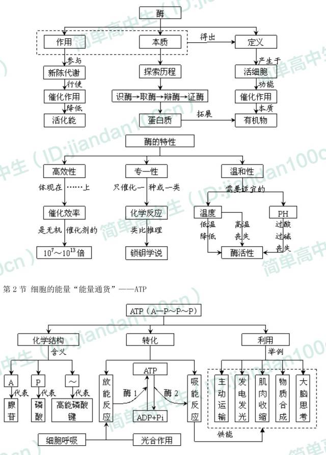 高中生物必修一概念图汇总,敢说你不需要吗?