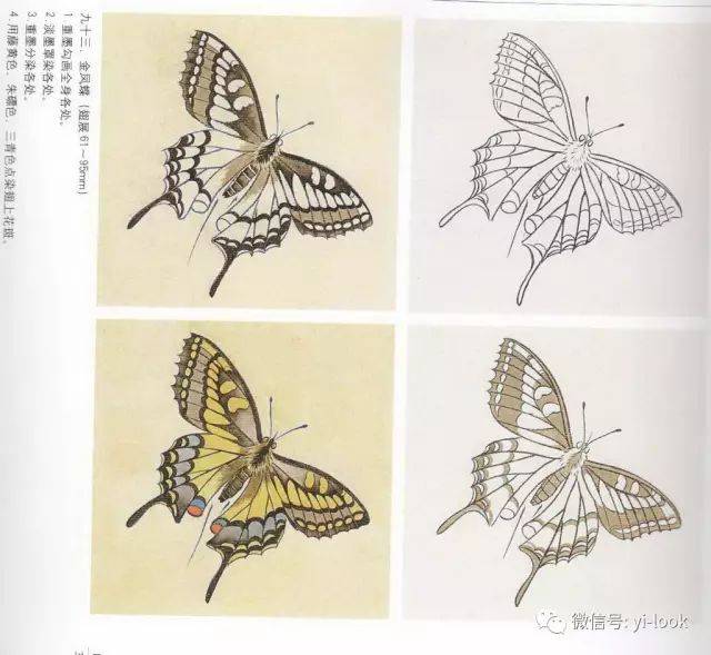 1分钟教你画100种昆虫 | 技法图