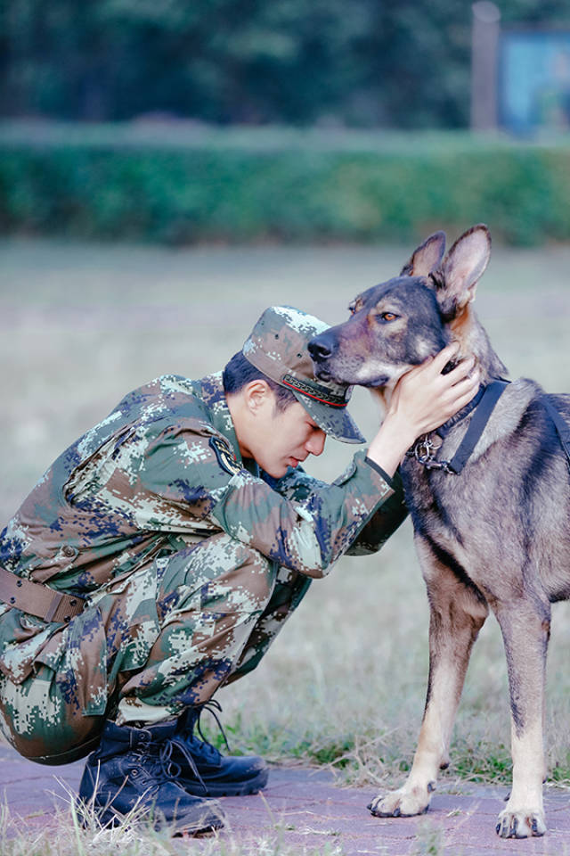 奇兵神犬姜潮乐观秒变段子手与犬深情告白动人