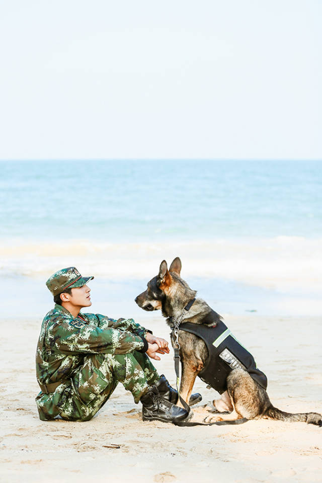 奇兵神犬姜潮乐观秒变段子手与犬深情告白动人