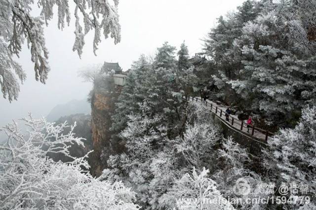 陇南成县鸡峰山雪景美爆了(附高清航拍视频)!