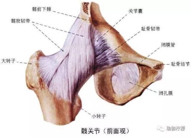 想开髋不一定非要做那些开髋的经典体式