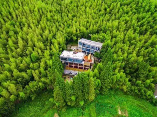 隐匿于竹林深处的世外桃源