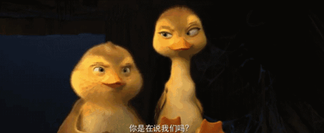 机灵的憇憇和呆萌的淘淘,肢体动作和表情,完全能领略.