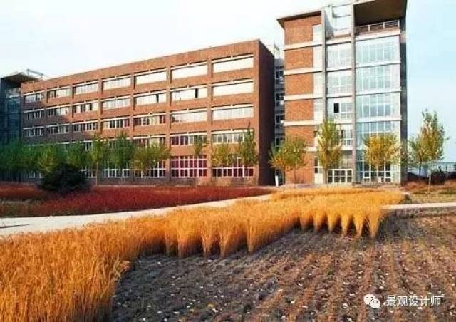沈阳建筑大学1