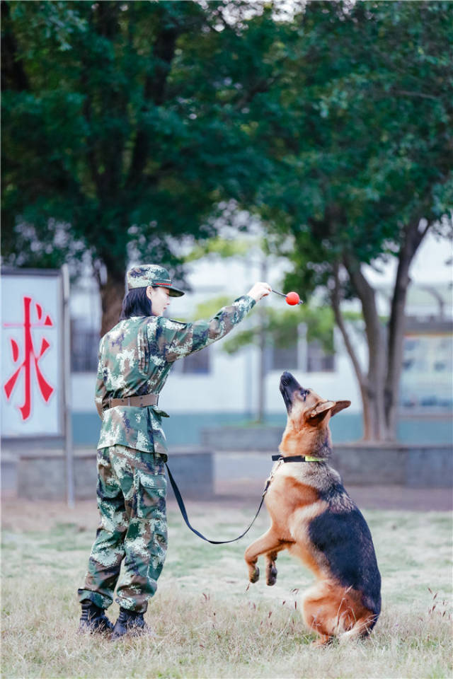 《奇兵神犬》艾勒薇斯成为真正的战士张馨予军姿笔直引热议