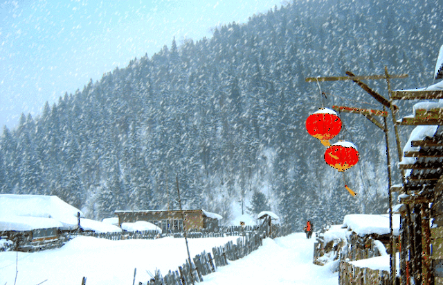 小寒,雪落为念