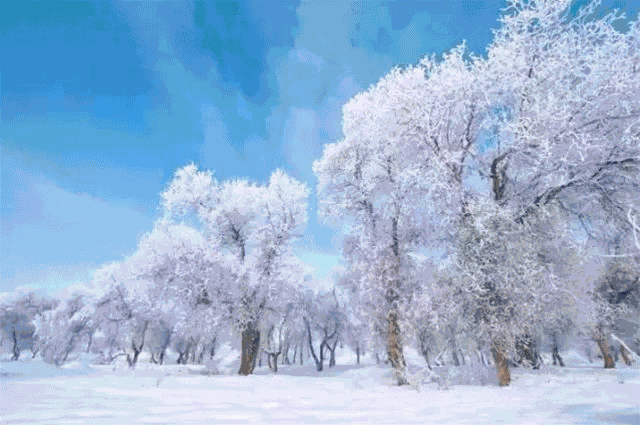 美图┋看雪真的没必要非去东北!雪景,我只服新疆!