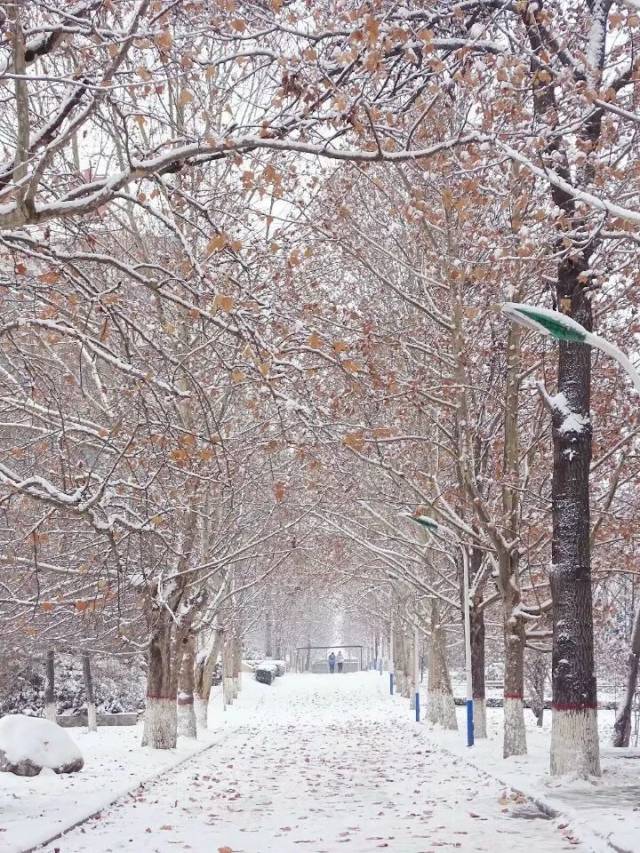 今年冬天的雪 你和谁在一起? 欢迎大家在评论区留下你的冬日故事