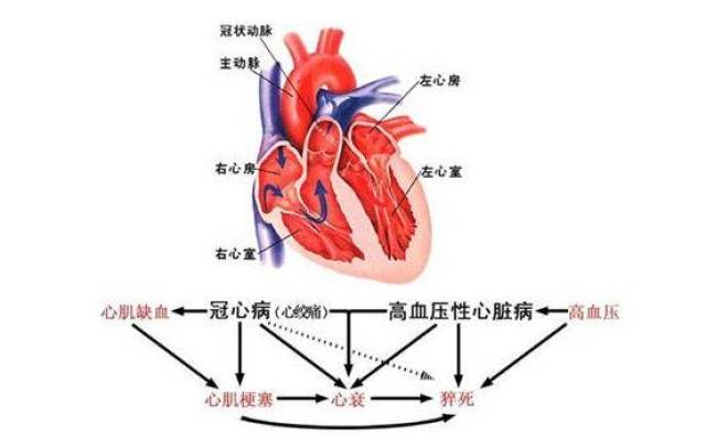 如何监测这些常见心脏病?