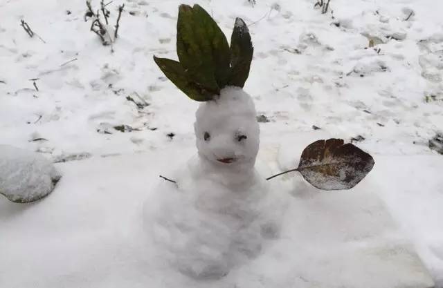 你来看看人类制造的雪人有多可怕吧