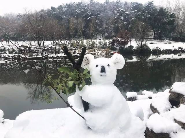 红山动物园里