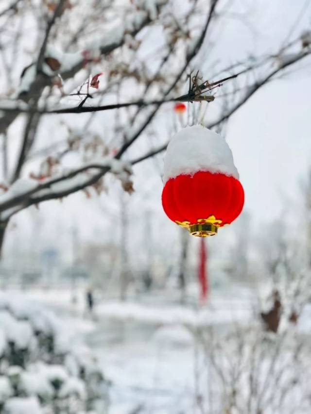 高清华为雪景图,快看!