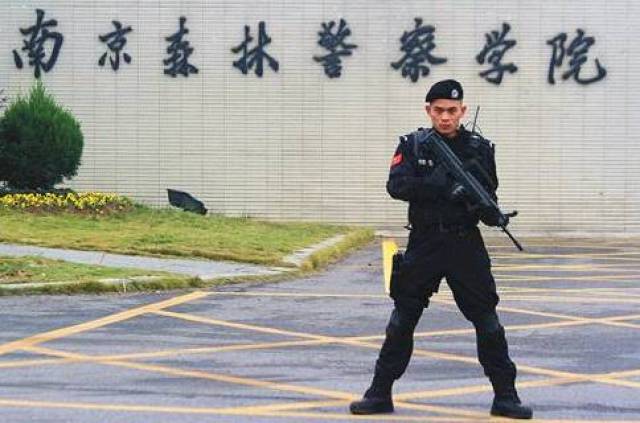 【少年警训营】 走进南京森林警察学院 | 感受"警察威武"的同时,学习