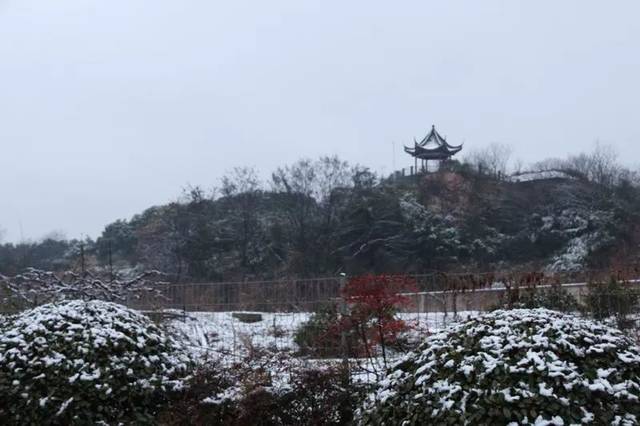 2018阳山的第一场雪,有点婉约,带点斯文