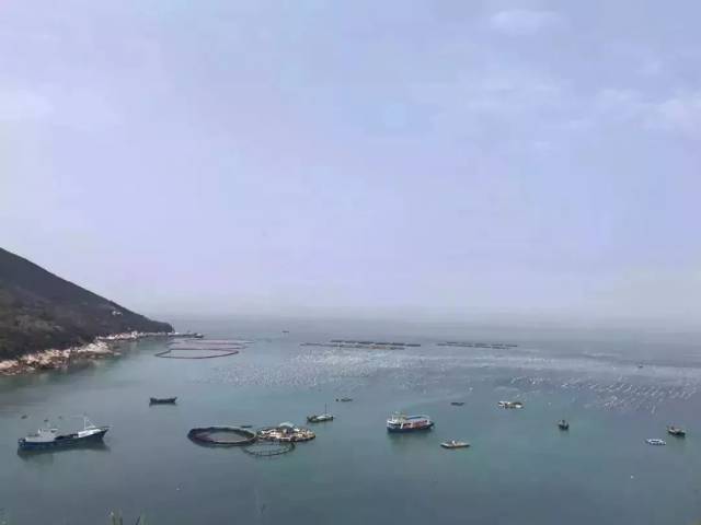 宁波人传疯了!68岁老人,靠一条黄鱼创业成网红!2018年第一励志