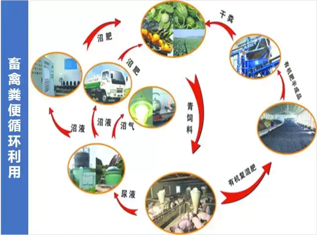 AC米兰官网-江山市农业农村局 江山市财政局关于印发《江山市2026年商品有机肥推广应用实施方案》的通知