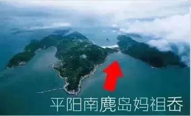 宁波人传疯了!68岁老人,靠一条黄鱼创业成网红!2018年第一励志