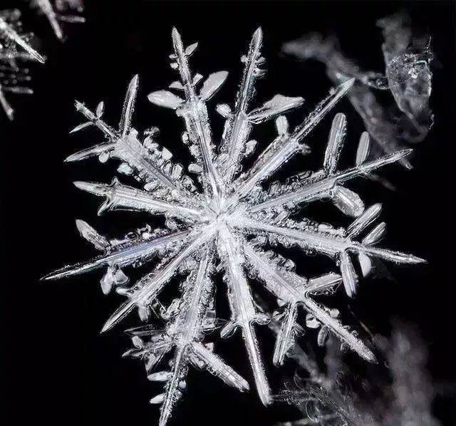 如果把雪花放在放大镜下,每片雪花都是一个精美绝伦的艺术品.