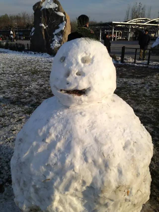 你来看看人类制造的雪人有多可怕吧