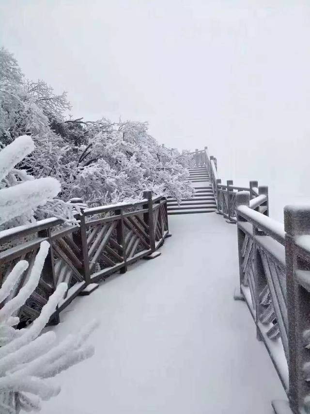 2018年的第一场雪已刷爆朋友圈!