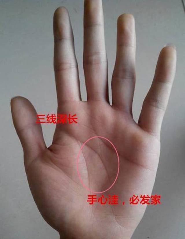 f4fac674749b424c9e146be1a0c5c395.jpeg