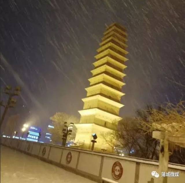 蒲城美女为2018第一场雪写了首诗,火了!