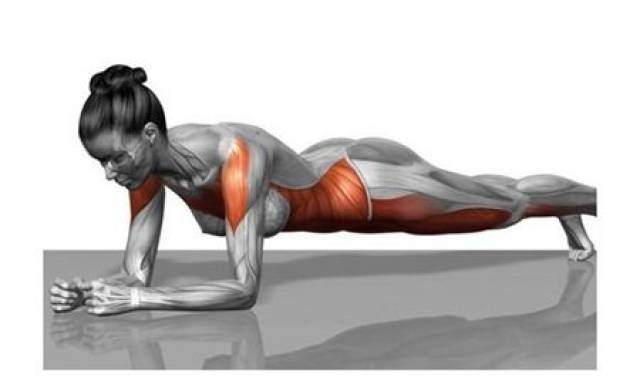 平板支撑有什么好处几分钟最佳 13b8c8508d5b43019029e1708c51213b.jpeg