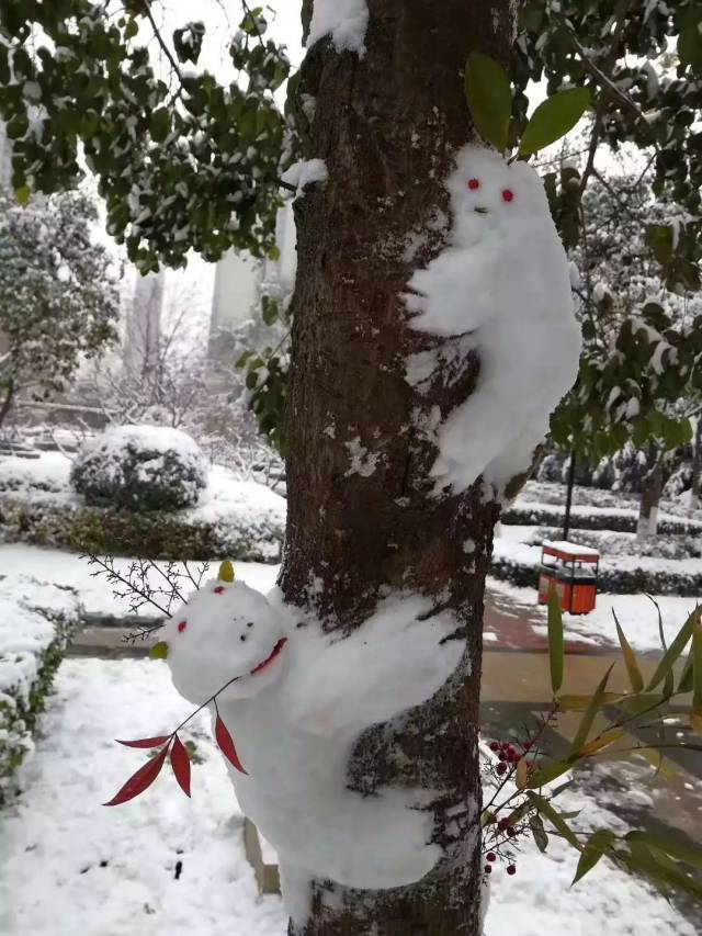 ˭ѩд