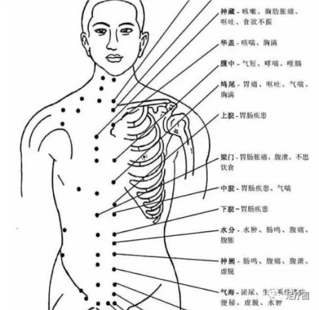 人体穴位图及穴位功能主治