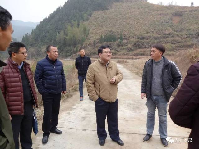 【柴桑区:骆效农