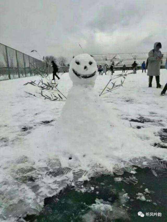 大雪后高校学生花式堆雪人,呆萌造型萌化你的冬日心!