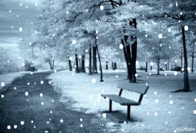昨天, 一场如期而至的大雪席卷全城 肆虐了一整天后 这场大雪终于后