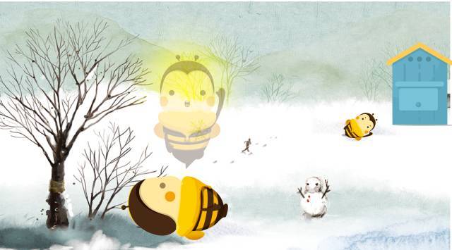 能顺利越冬的蜜蜂,运气都不会太差!