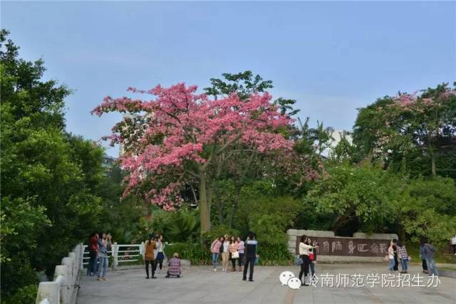 岭南师范学院2018年艺术类专业招生简章