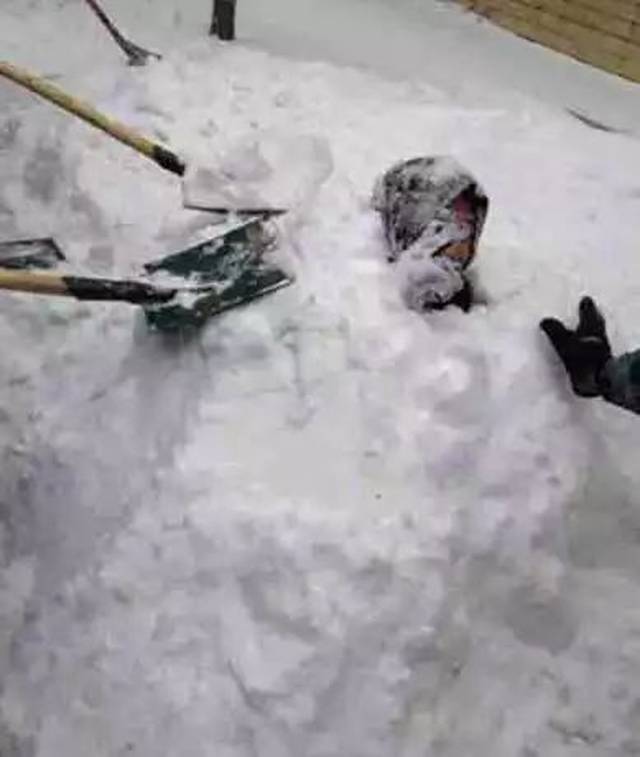 乌鲁木齐人:恕我直言,论打雪仗,我们就没输过-搞笑