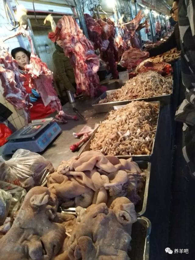 市场上羊肉31一斤,这个价格你怎么看?买了个羊脸花了70多!