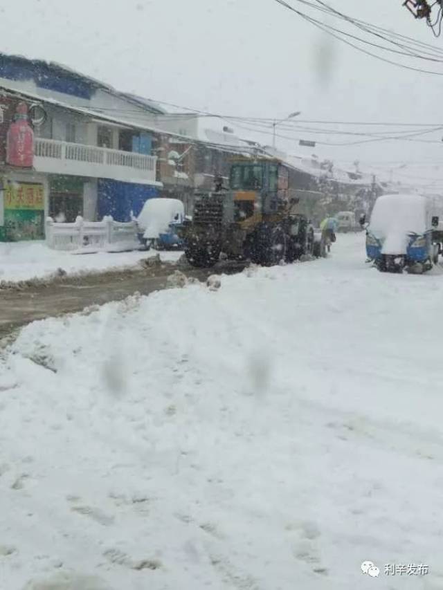 雪很大,天很冷!利辛人要携起手来,撑起我们温暖的家