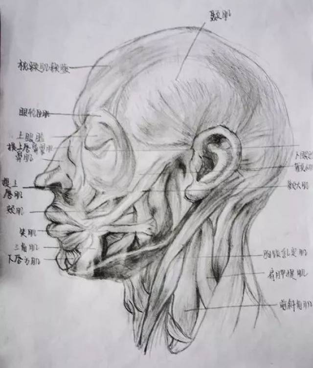 纹理,线条,处理的恰到好处,绝对可以称为大师!