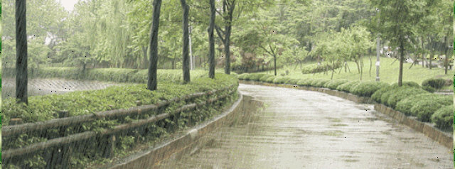 听雨成思, 片片真情缠绵于雨中 深深思念牵挂于梦中 红尘似雨 滴滴