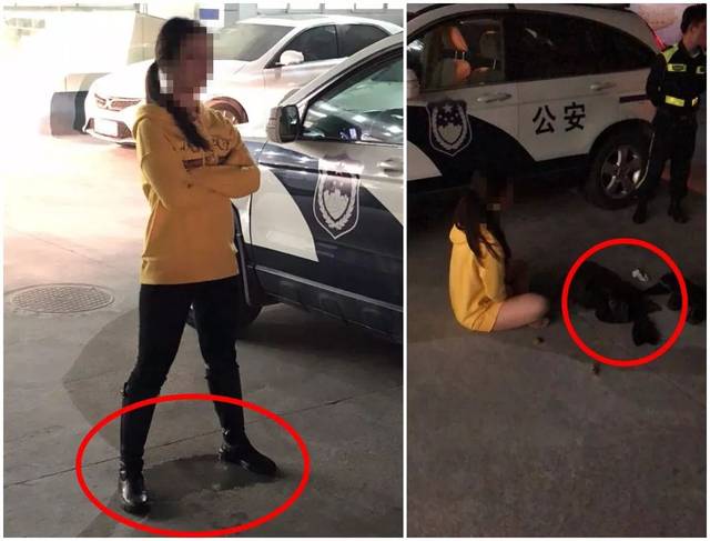 人民女教师涉嫌"顶包"驾车,可是一言不合居然脱裤子.