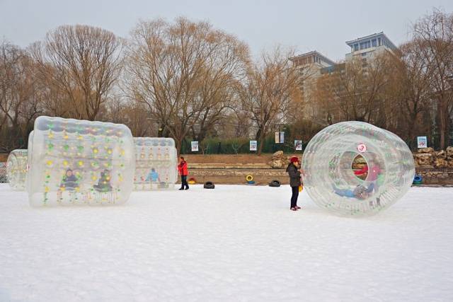 冬日印象|紫竹院公园,还有三环内超大的雪场哟!