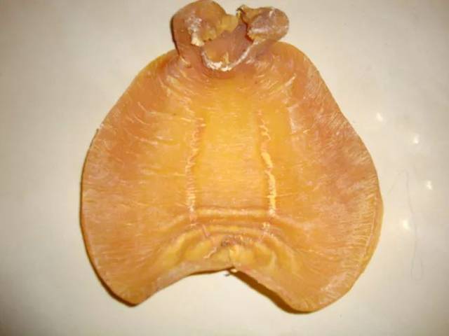 赤嘴鳘鱼胶里面也分了几个品种,按产地等分为浙江大耳,湛江赤嘴,红鸡