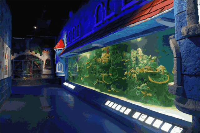 川东北首个海洋馆登陆阆中,超10000平方米,再现海底世界!