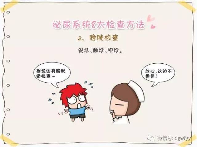 求好"孕" 泌尿系统检查少不了