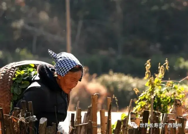 揭开樟木林石城围屋的历史面纱,寻找那古老的客家印记